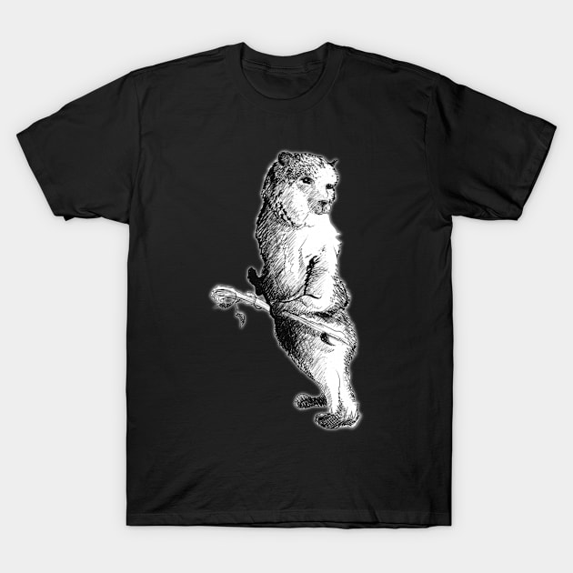 Bear form druid - vintage medieval fantasy inspired art and designs T-Shirt by STearleArt